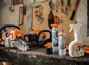 media-0955378a-9f21-4d38-b05c-eb546488a3a5