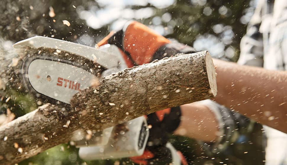 media-0d96e251-3b98-42d0-8be8-e16c16393fc2