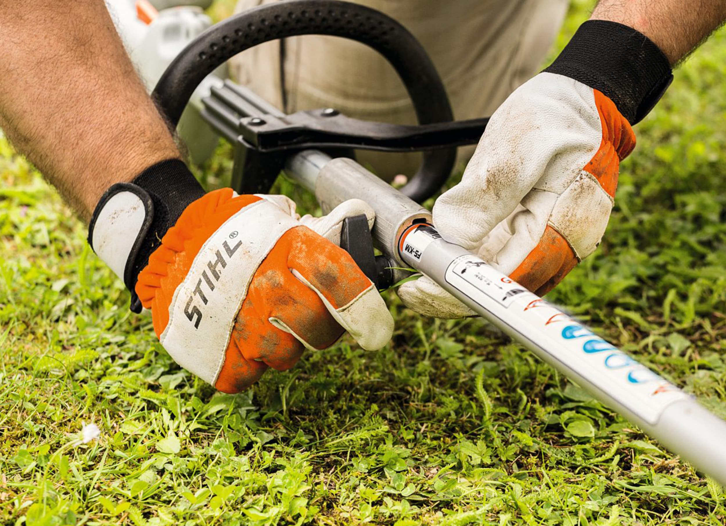 media-0e4a555b-b47d-42aa-93c8-6e839697a12b