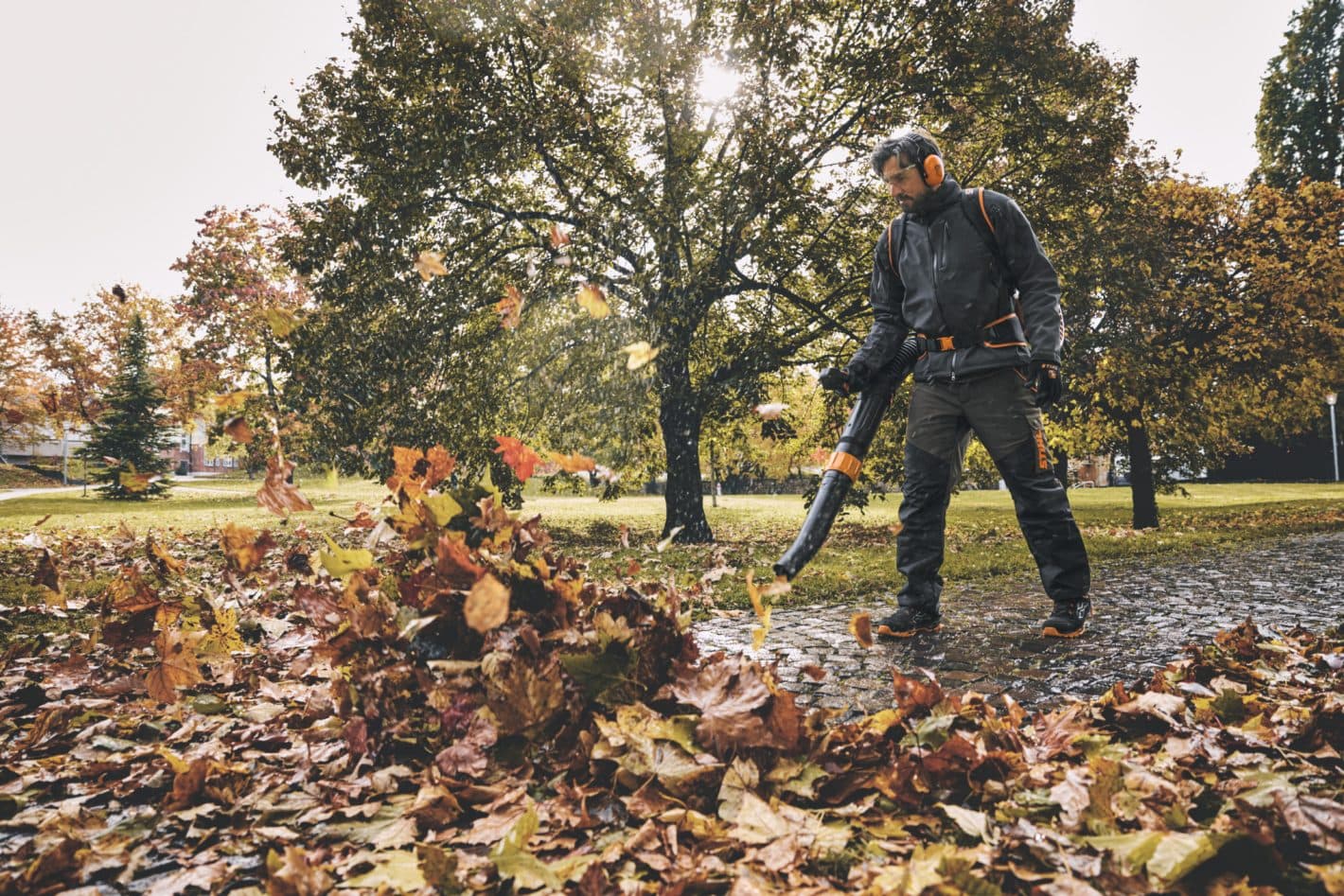 media-1c1dbde9-106c-4bcf-999e-c39012a419d0