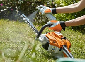 media-2005b9b4-8dd1-4047-bdd5-2c07d0a27cfe