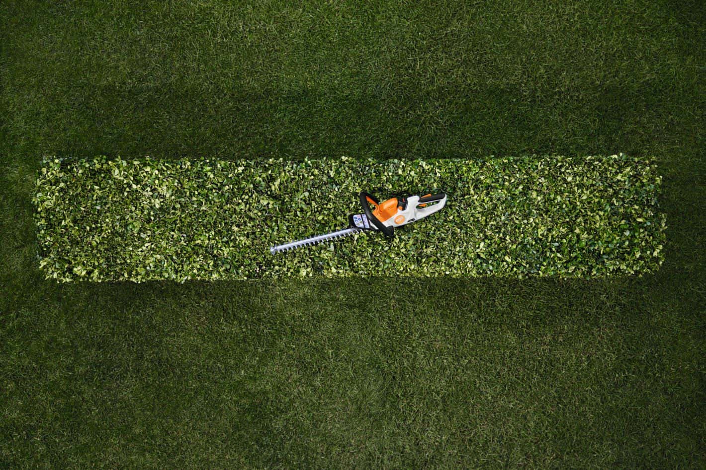 media-2a093fd9-de65-4539-8c83-85673a905e5c