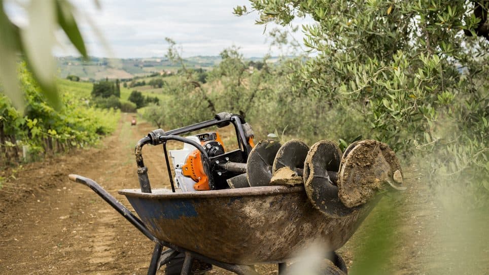 media-35c8884d-e9ea-4eae-a63a-fa215e573364