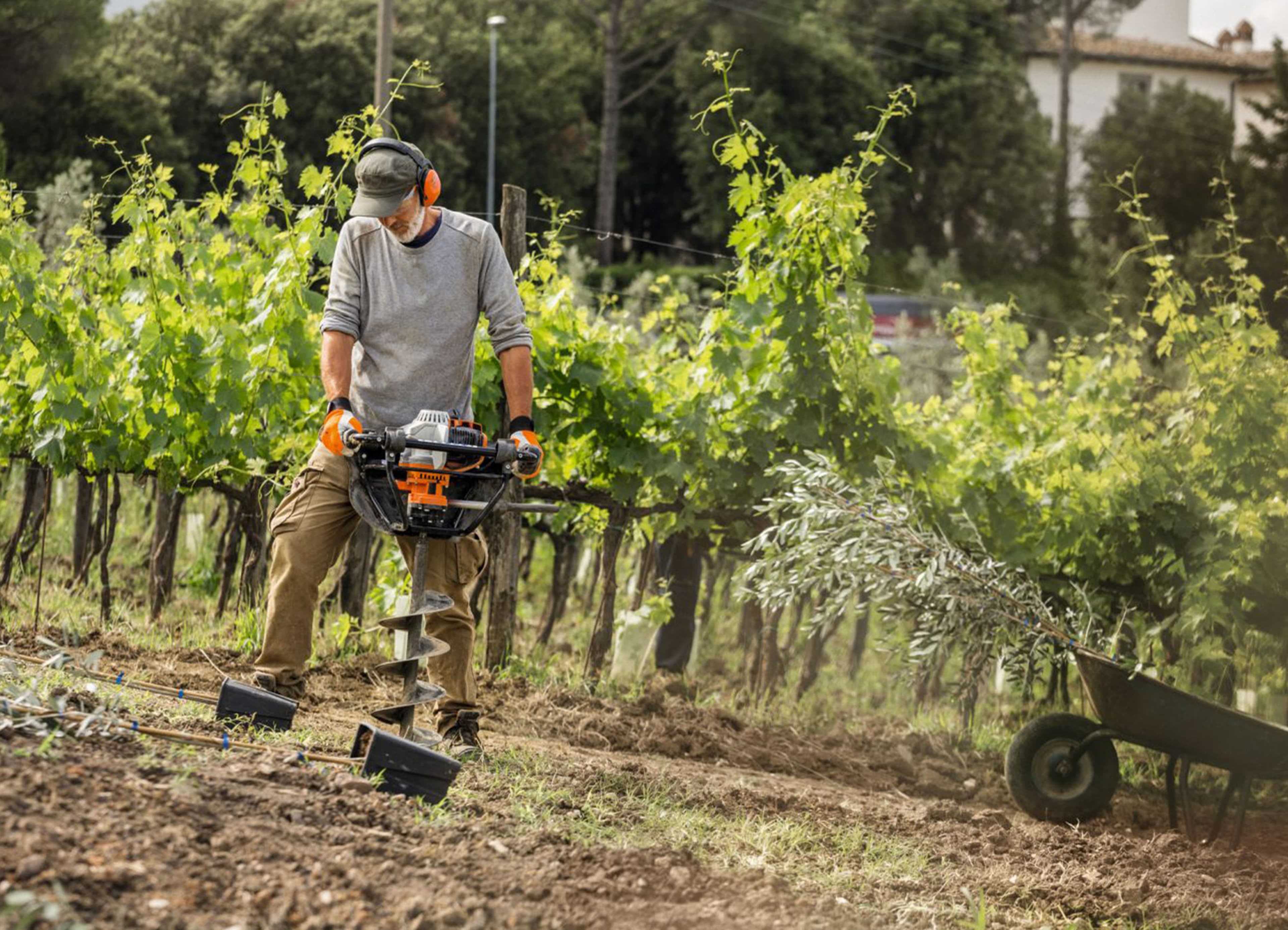 media-37ba5ce8-0fda-4b00-a1f5-9d82db042657