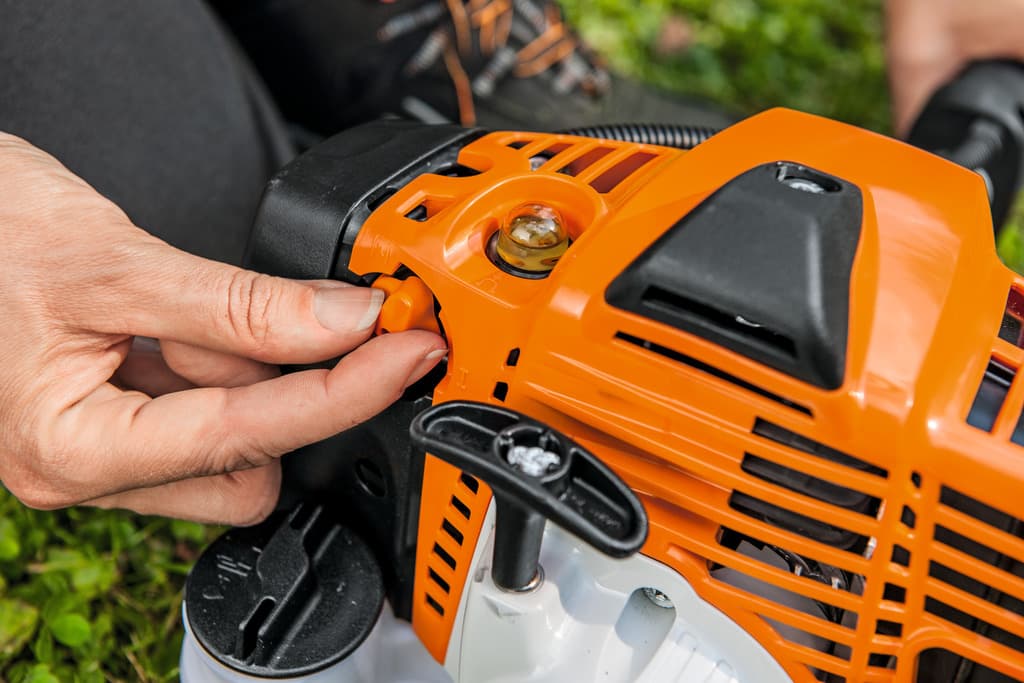 media-380219ca-2d34-4a44-bfe5-6edf3563b4d7