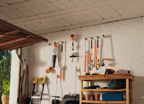 media-4f70d877-b7fb-4ba1-9640-cc43496a9244