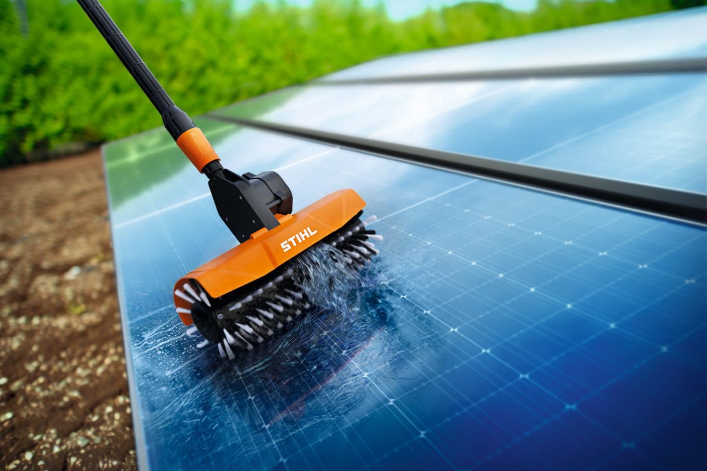 media-5513119b-1d7c-4d53-82c4-f2ec9a65eeef