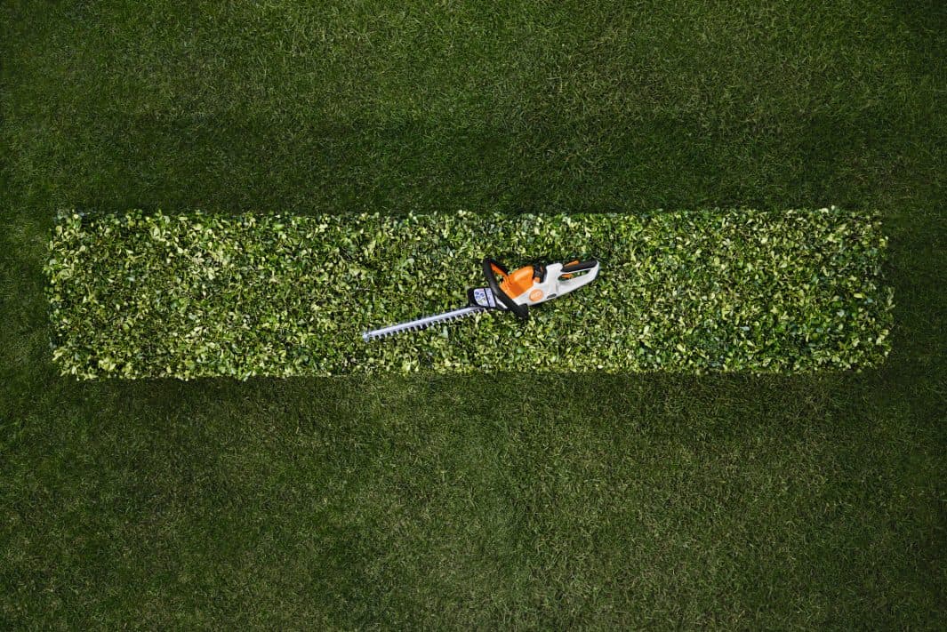 media-6c3d4464-301f-4b10-9cf1-675b3699e3c7