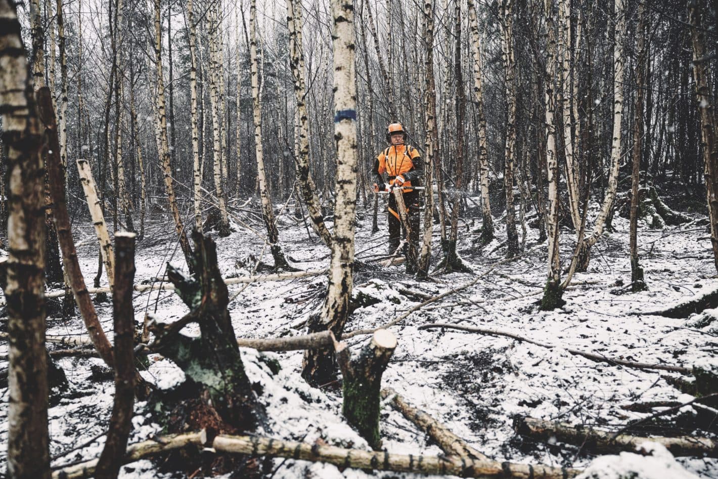 media-6e1dcfea-e4ac-4e72-be8b-f82167b241d7