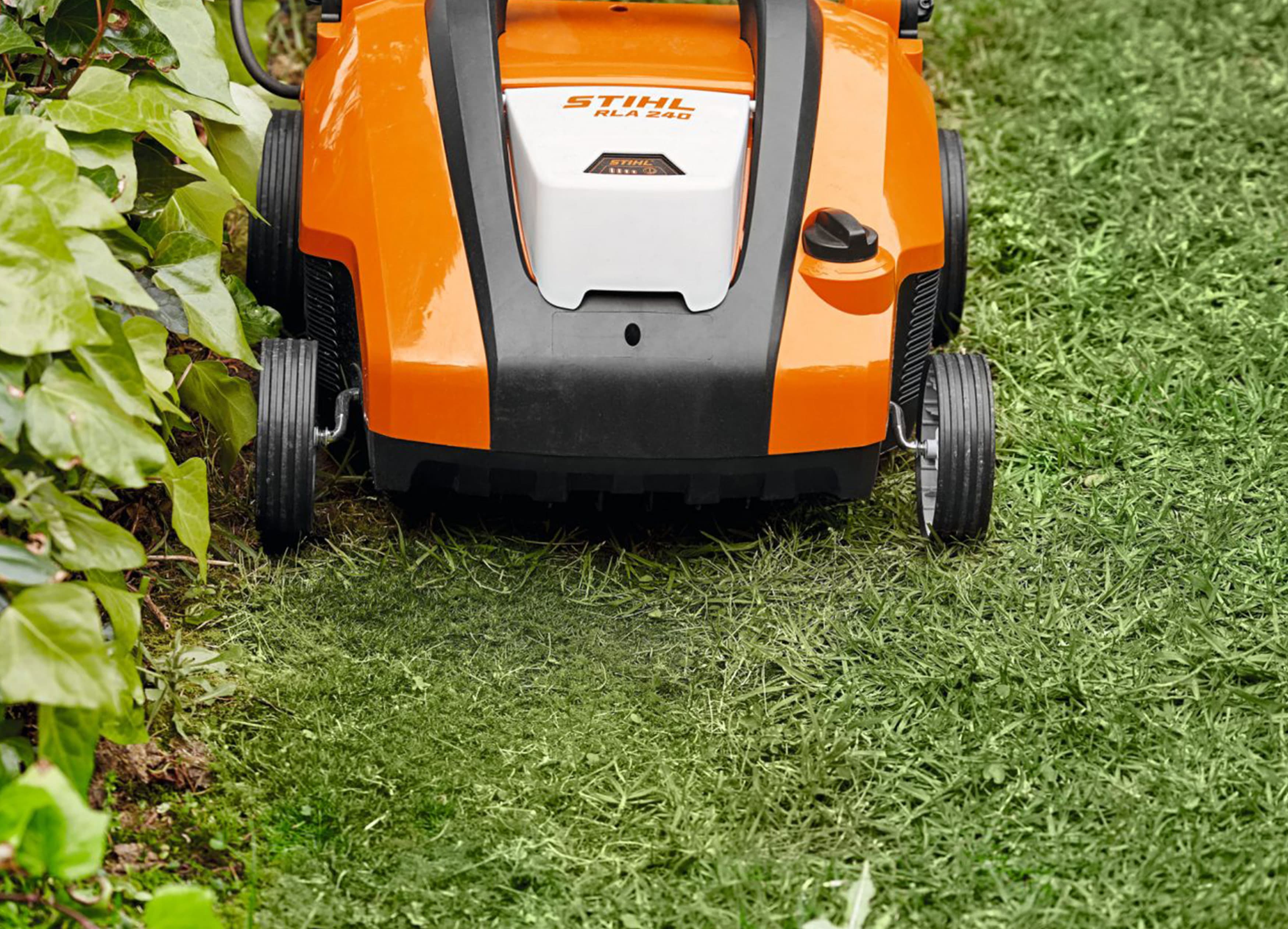 media-6fc9a57c-7e8f-4645-ac35-4f92179dfec3