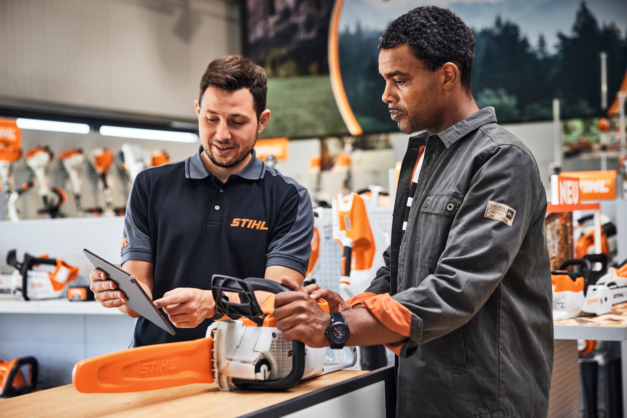 media-71fa0bae-6e18-4a4f-bc8c-5a178f9a3ec2