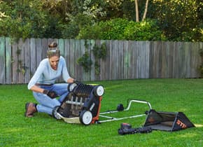 media-772211ad-29b9-4fa9-ae67-5a49c4df29f4