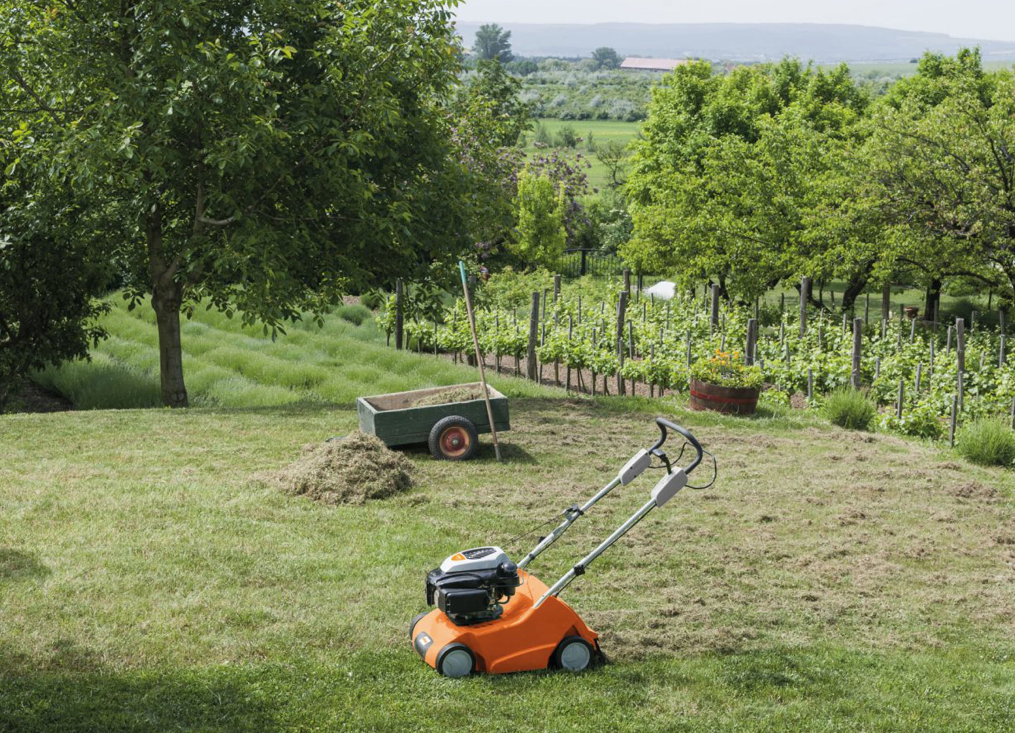 media-7738c7fb-6653-4cc3-9ea4-d5dc94958935