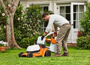 media-8262d50d-08f1-4004-a090-3cccd81765d2