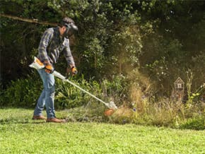 media-8992fe53-6d18-4f66-9411-4a7dab915007