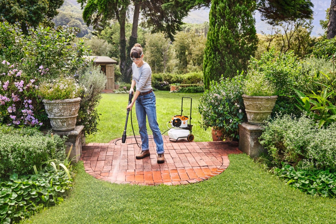 media-8f768653-4555-43c8-b3b2-1cb24b59620f