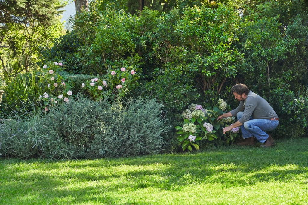 media-917138e5-97ce-4886-95f5-927d05e00cb7