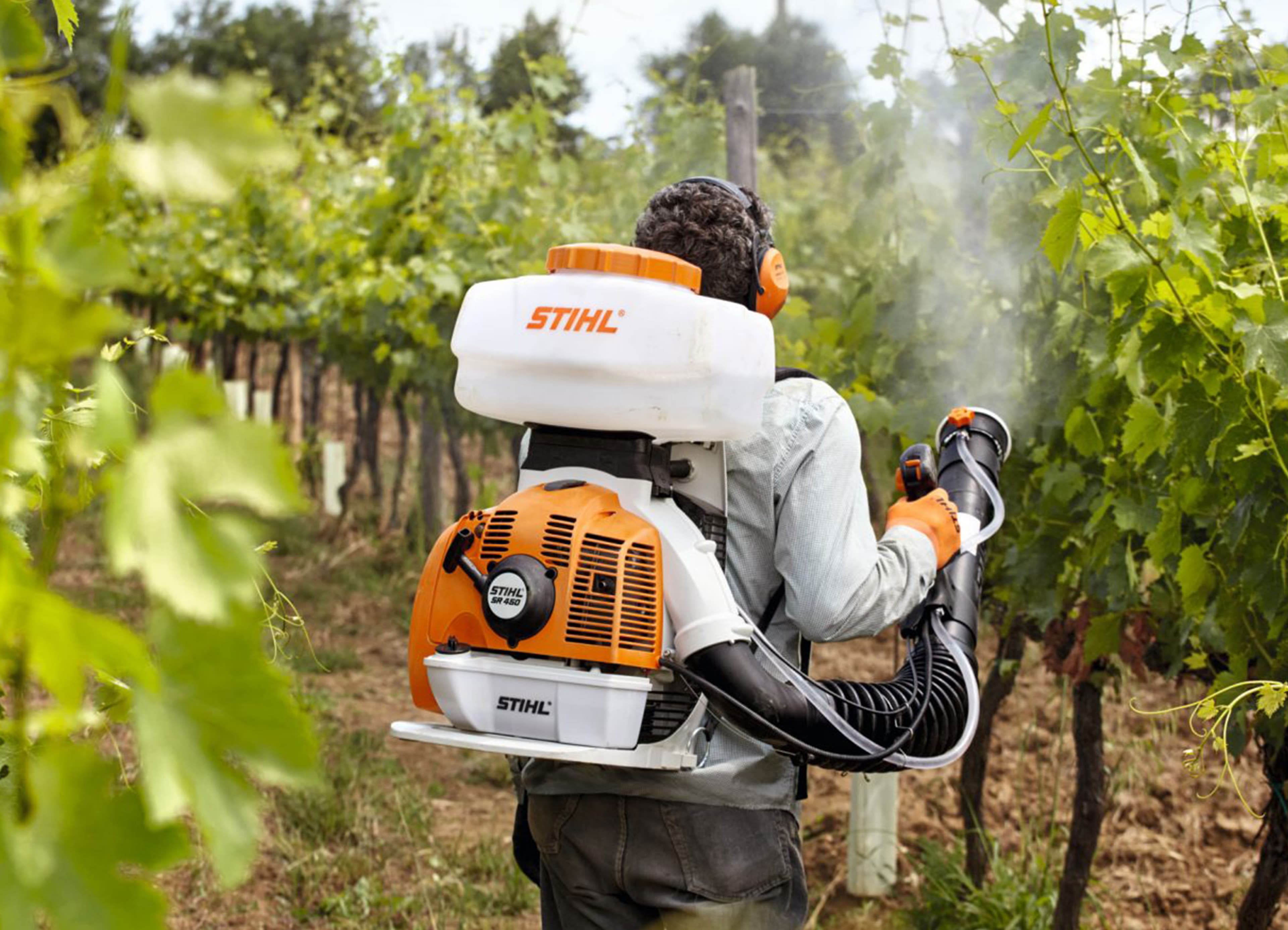 media-941a53b9-6cb9-4dfe-9ecc-85d07128c315