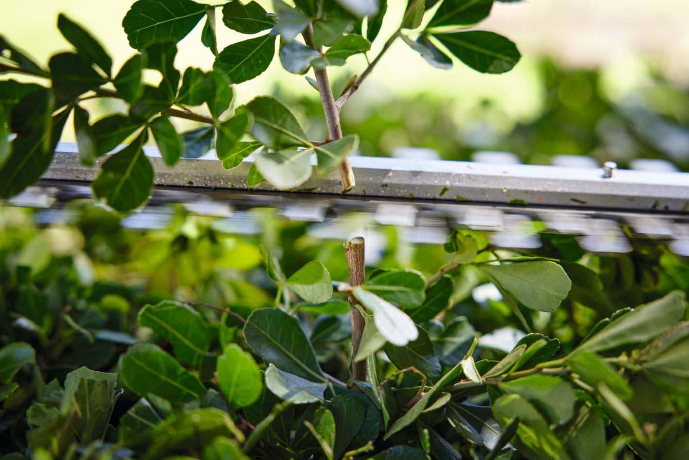 media-a49c16aa-4a8b-4340-bbb7-03f66bf307cd