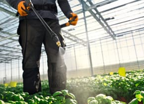 media-b5ea7862-d254-4dad-98f1-148ef3e3a8df