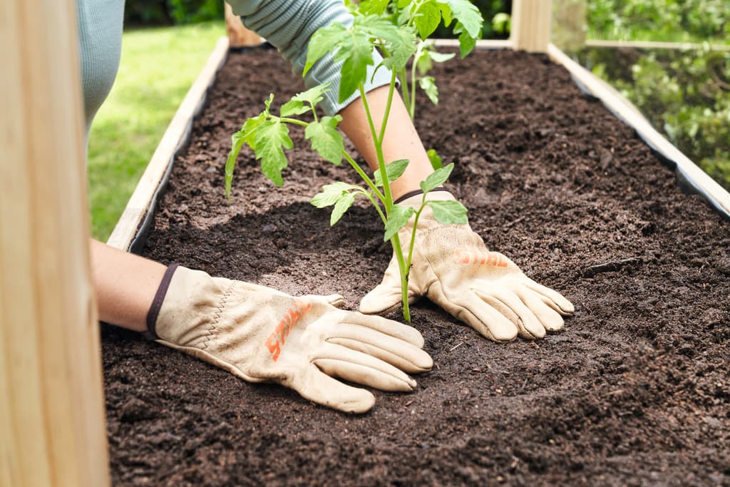 media-baebe981-916c-4bde-803b-a07de6a3fbdc