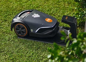 media-be1d65fa-4e1f-4dfb-b805-daf9ba3ea89f