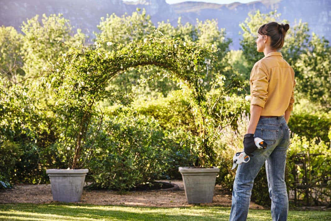 media-d5768b2e-41c0-4e8c-a4d9-c7fc023a2199