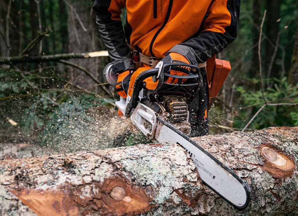 media-e27359c8-5924-4a87-975b-3f9f246482bf