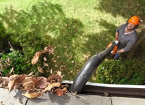 media-f753e755-29ed-46f4-908d-9ba4576c6b0b