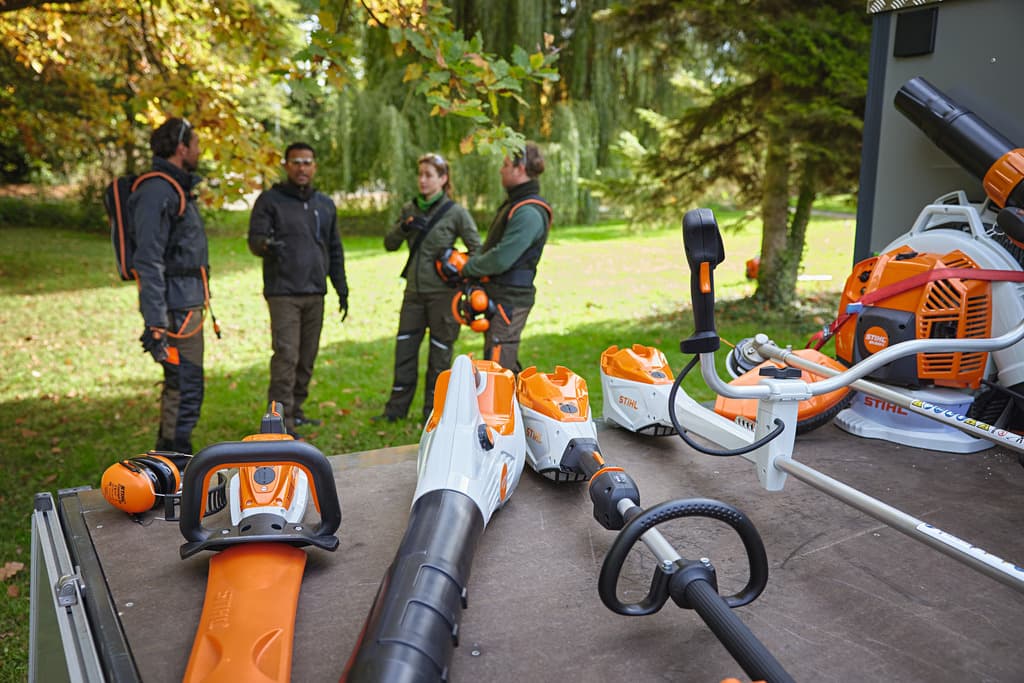 media-f937dd29-5b9e-4e71-82bd-bdfada122939