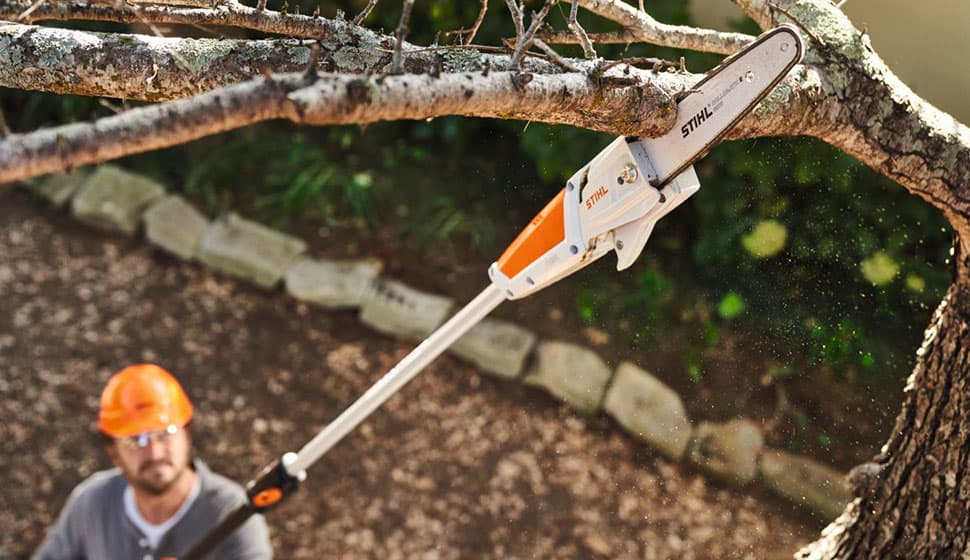 media-fb66e5e3-38f5-4256-9724-18331b755171